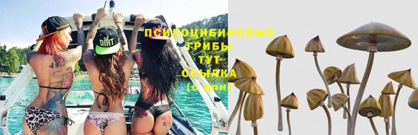 первитин Аркадак